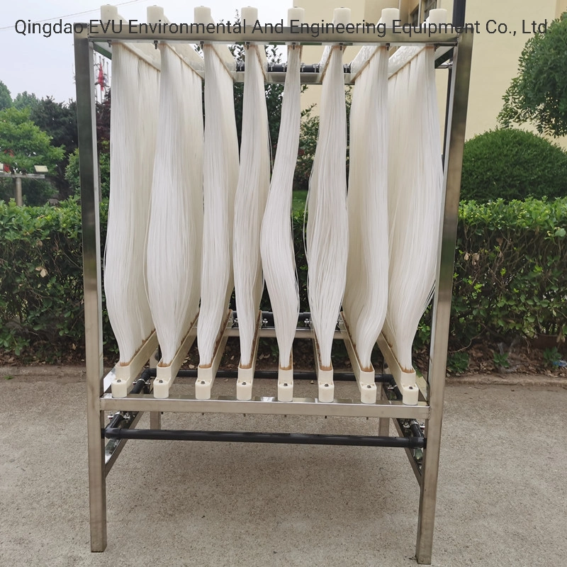 High-Quality Hollow Fiber UF Membrane Mbr for Wastewater Treatment Plant /Equipment