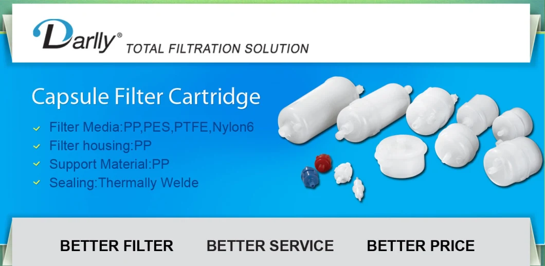 0.2 Micron Pes Filter Cartridge Capsule Darlly Filtration