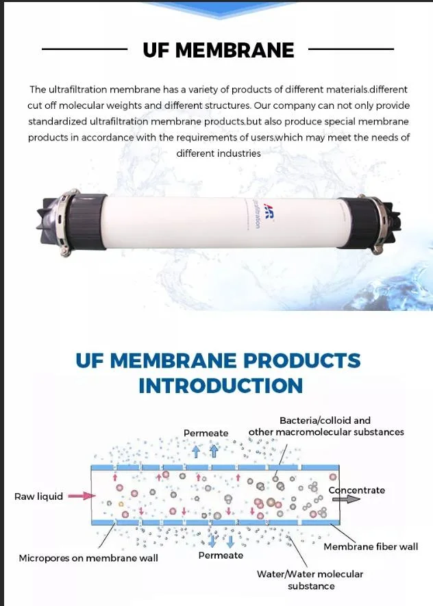 Ultrafiltration Membrane Hollow Fiber UF Filter for Water Recycling Membrane Module Water Treatment Membrane